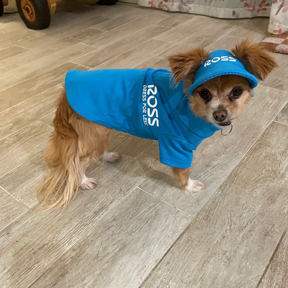 Blue Dog Hoodie and Cap Set